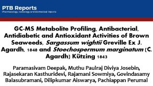 GCMS Metabolite Profiling Antibacterial Antidiabetic and Antioxidant Activities