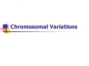 Chromosomal Variations Overview I Chromosomal Variations A Polyploidy