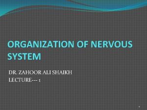 ORGANIZATION OF NERVOUS SYSTEM DR ZAHOOR ALI SHAIKH