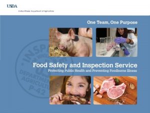 USDA United States Department of Agriculture Food Safety