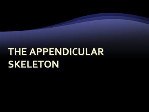 THE APPENDICULAR SKELETON The Appendicular Skeleton Composed of