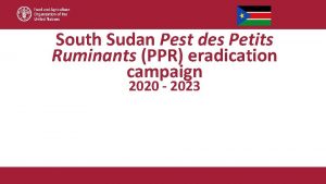 South Sudan Pest des Petits Ruminants PPR eradication