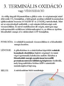 3 TERMINLIS OXIDCI vagy VGOXIDCI Az eddig trgyalt