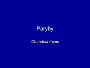 Paryby Chondrichthyes charakteristika elistnatci elisti spojen s lebkou