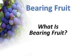 Bearing Fruit What Is Bearing Fruit Bearing Fruit
