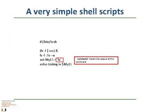 A very simple shell scripts bintcsh ls l