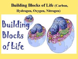 Building Blocks of Life Carbon Hydrogen Oxygen Nitrogen