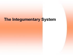 The Integumentary System Skin Integument Consists of three