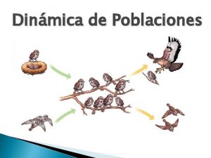 Dinmica de Poblaciones Qu es una poblacin ecolgica