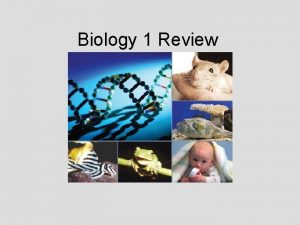 Biology 1 Review Characteristics of Living Things Living