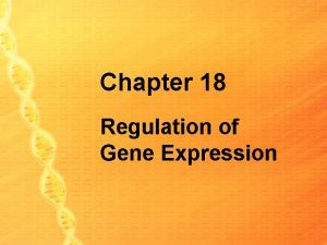 Chapter 18 Regulation of Gene Expression Regulation of