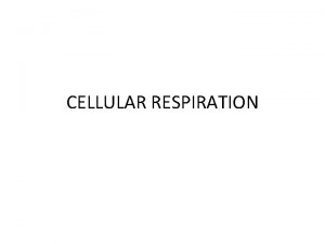 CELLULAR RESPIRATION CONCEPT GLYCOLYSIS LINK REACTION KREBS CYCLE