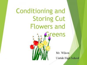 Conditioning and Storing Cut Flowers and Greens Mr