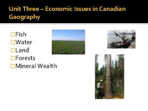 Unit Three Economic Issues in Canadian Geography Fish