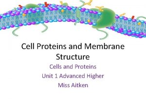 Cell Proteins and Membrane Structure Cells and Proteins