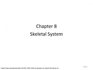 Chapter 8 Skeletal System Elsevier items and derived