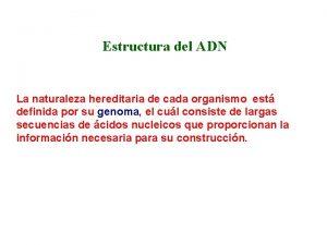 Estructura del ADN La naturaleza hereditaria de cada