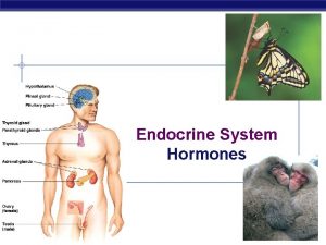 Endocrine System Hormones AP Biology 2006 2007 Regulation