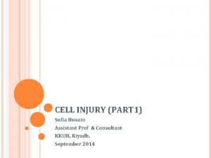 CELL INJURY PART 1 Sufia Husain Assistant Prof