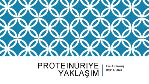 PROTEINRIYE YAKLAIM Umut Karaku 0101170073 PROTEINRI NEDIR Fizyolojik