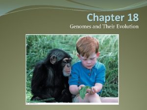Chapter 18 Genomes and Their Evolution What you
