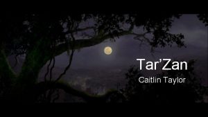 TarZan Caitlin Taylor TarZan revitalizes the centuriesold story