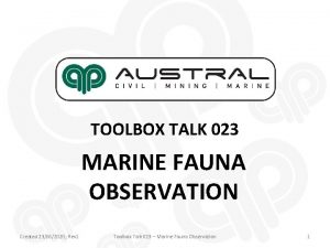 TOOLBOX TALK 023 MARINE FAUNA OBSERVATION Created 23062020