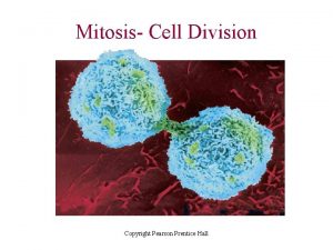 Mitosis Cell Division Copyright Pearson Prentice Hall Why