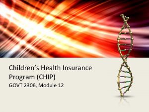 Childrens Health Insurance Program CHIP GOVT 2306 Module