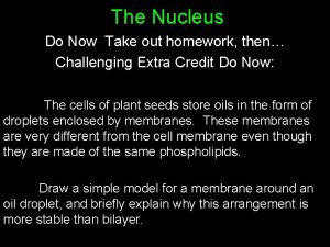 The Nucleus Do Now Take out homework then