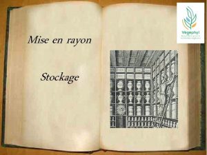 Mise en rayon Stockage Produits phytopharmaceutiques JEVI Zone