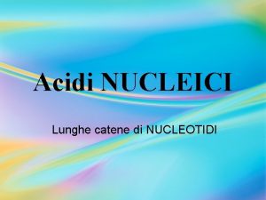 Acidi NUCLEICI Lunghe catene di NUCLEOTIDI Acidi Nucleici