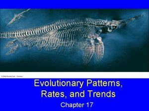 Evolutionary Patterns Rates and Trends Chapter 17 Learning