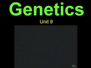 Genetics Unit 9 What is genetics Genetics Is