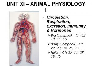 UNIT XI ANIMAL PHYSIOLOGY I Circulation Respiration Excretion