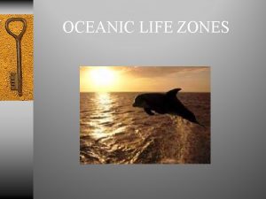 OCEANIC LIFE ZONES There are 2 major Ocean