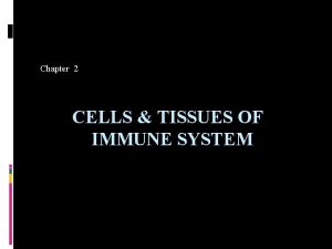 Chapter 2 CELLS TISSUES OF IMMUNE SYSTEM CELLS