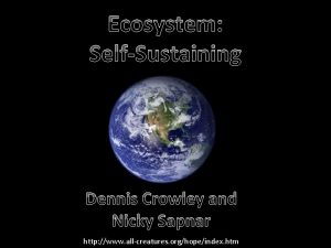 Ecosystem SelfSustaining Dennis Crowley and Nicky Sapnar http