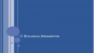 ECOLOGICAL ORGANIZATION ECOLOGY The study of organisms their