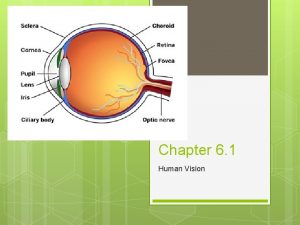 Chapter 6 1 Human Vision How Light Enters