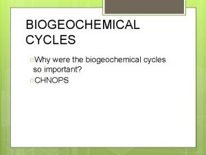 BIOGEOCHEMICAL CYCLES Why were the biogeochemical cycles so
