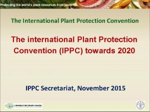 The International Plant Protection Convention The international Plant