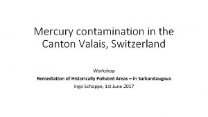 Mercury contamination in the Canton Valais Switzerland Workshop