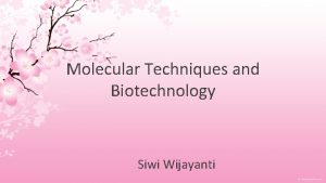 Molecular Techniques and Biotechnology Siwi Wijayanti Molecular Biotechnology