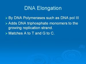 DNA Elongation By DNA Polymerases such as DNA