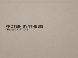 PROTEIN SYNTHESIS TRANSCRIPTION Main Ideas TRANSCRIPTION In nucleus