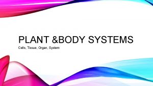 PLANT BODY SYSTEMS Cells Tissue Organ System THE