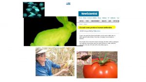GM 3 5 Genetic modification and biotechnology Understanding