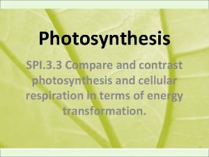 Photosynthesis SPI 3 3 Compare and contrast photosynthesis