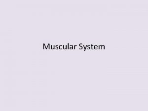 Muscular System Muscular System Over 600 muscles 45